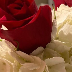 Meet your Posher, Suzy